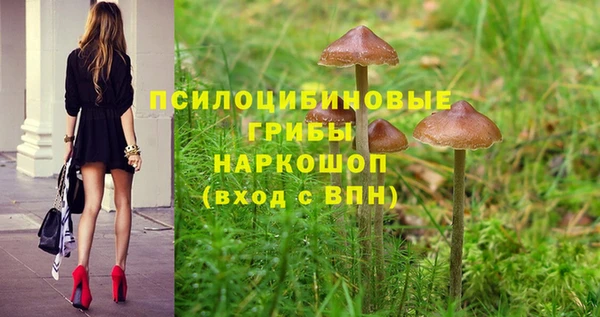 гидра Баксан
