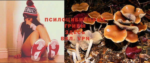 а пвп мука Балахна