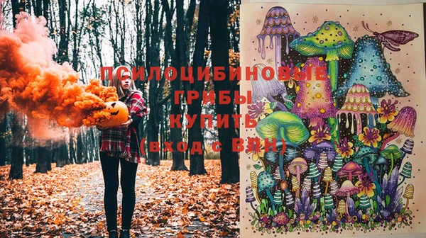 гидра Баксан