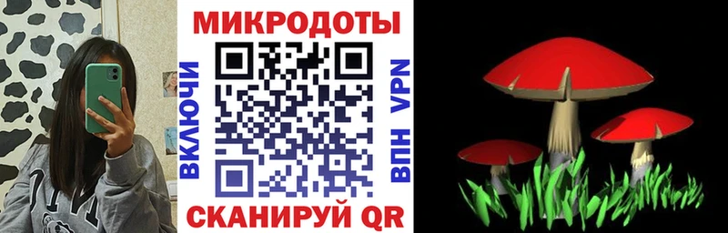 Псилоцибиновые грибы прущие грибы Макушино