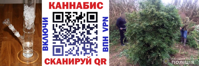 где можно купить Макушино MEGA ССЫЛКА Каннабис гибрид